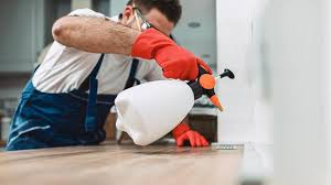 Reliable Vandercook Lake, MI Pest Control Solutions